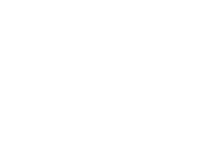 Veriforce Tactical Logo